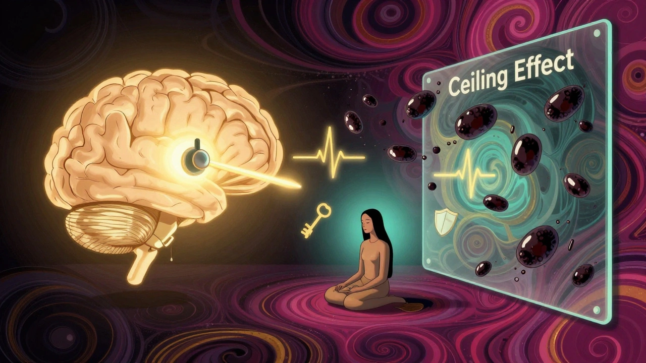 Buprenorphine Side Effects: Understanding the Ceiling Effect and Real-World Safety